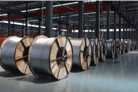 Il conduttore Aluminium Conductor Steel di ACSR Raven ha rinforzato la norma di ASTM