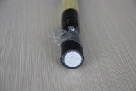 Guaina di alluminio sotterranea del PVC di Xlpe Insulated Cables del conduttore
