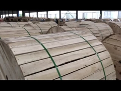 ASTM BS Conduttore in tutto alluminio per linee aeree di trasmissione