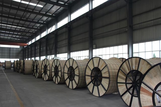 Cable a caduta di servizio quadruplesso triplex duplex standard ASTM