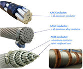 Conduttore di alluminio Acciaio Rinforzata di ACSR AAC AAAC ASTM