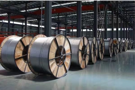 ACSR al di sopra ha incagliato il conduttore di alluminio nudo Steel Cable per la linea di trasmissione